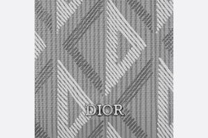 Card Holder with Bill Clip • Dior Gray CD Diamond Canvas